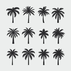 Diverse collection of palm tree silhouettes vector graphics scalable illustration for tropical designs silhouette