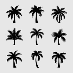 Collection of diverse palm tree silhouettes vector graphics scalable icon set eps illustration silhouette