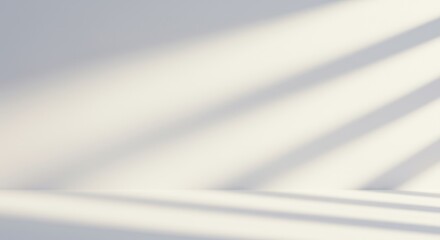 Minimalist Interior with Sunlight Casting Shadows on White Walls