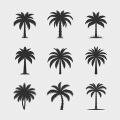 Set of diverse palm tree vector silhouettes for tropical and summer graphic design elements silhouette