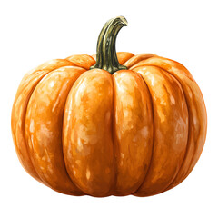 Small orange pumpkin isolated image