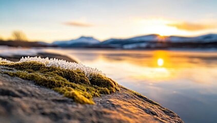 Frozen moss clinging to a rock glows in the golden light of a winter sunset over a tranquil lake