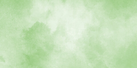 Abstract green watercolor background,wild plants of green color. Watercolor card, postcard, invitation. green watercolor natural,green watercolor grunge texture background. Sky, cloud background,