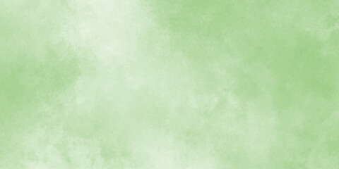 Abstract green watercolor background,wild plants of green color. Watercolor card, postcard, invitation. green watercolor natural,green watercolor grunge texture background. Sky, cloud background,