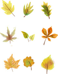 Fototapeta premium Denni Irawan