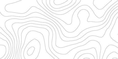 Topographic map background geographic line map with elevation assignments. Abstract digital topographic contour map concept space geometric strip grid line.Topography and geography map grid abstract,