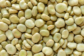 Top view of fresh, shelled broad beans (Vicia faba) with a second skin as a background texture.