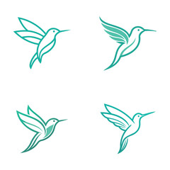 Four hand drawn hummingbird illustrations in flight