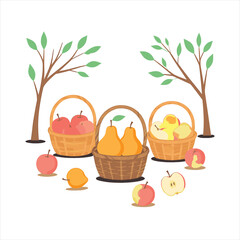  Baskets of apples, pears, peaches with leaves and branches.