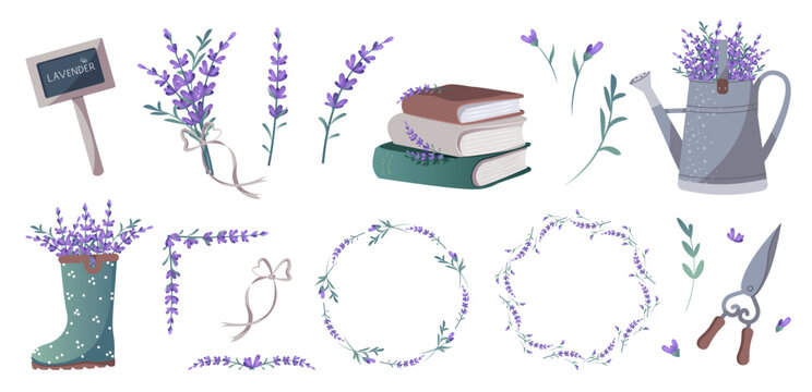 Lavender collection. Set of items with lavender flowers. Blooming compositions with bouquets. Frames from lavender flowers vector cartoon flat illustration isolated on white. Summer flowers borders.