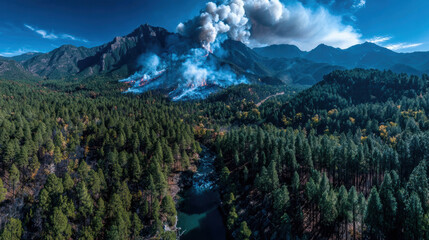 The impact of wildfires on forest ecosystems and management strategies