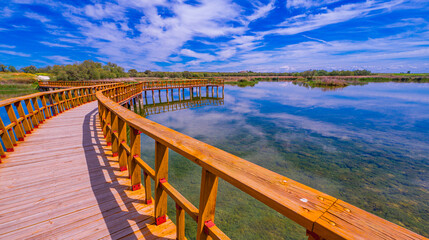 Tablas de Daimiel National Park, Daimiel, Ciudad Real, Castilla La Mancha, Spain, Europe