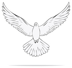 Obraz premium A white dove with outstretched wings in flight, symbolizing peace and hope.