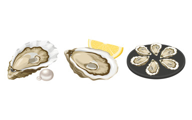 Three illustrations of oysters: one with a pearl, another with a lemon wedge, and a platter of six on the half shell.