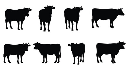 Black silhouettes of a herd of cows standing in a row