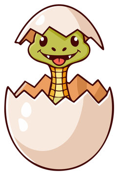 Cute Cartoon Snake Hatching from an Egg Illustration Snakelet Reptile Wildlife