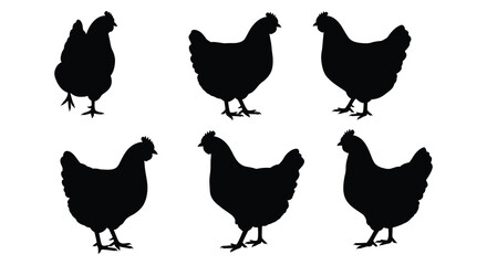 Simple black silhouettes of six chickens in various poses shown clearly