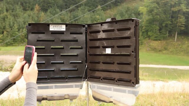 Person takes photo of open bark beetle trap used in forestry for monitoring insect populations representing ecological methods of pest control without chemicals in natural environment