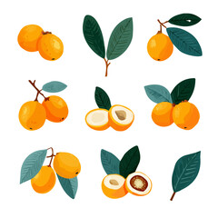 Flat 2D icon, minimalist design, clipart, A Simple flat 2D icon Loquat Fruit illustration isolated on a white background, vector, flat design, animation design