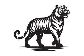 Fototapeta premium Tiger vector illustration