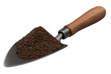 Garden trowel holding soil for planting, transparent background