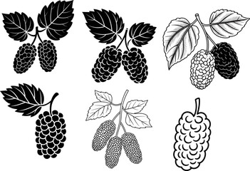Illustrations of Mulberry Fruit and Leaves in Various Artistic Styles Perfect for Graphic Design Projects and Culinary Inspiration