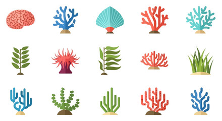 Colorful coral reef plants and marine life underwater ecosystem.