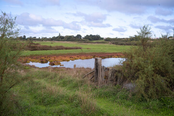 Beauvoir sur Mer, Marais Breton Vend&eacute;en, Vend&eacute;e, 85, France