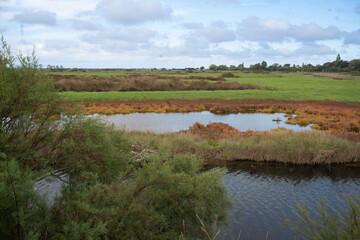 Beauvoir sur Mer, Marais Breton Vendéen, Vendée, 85, France