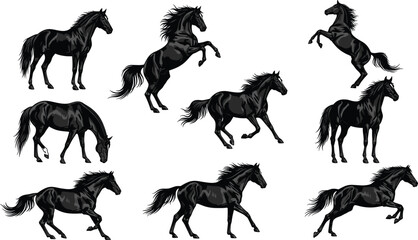 Black horse silhouettes in dynamic poses — running, rearing, grazing, and trotting — powerful equine forms for equestrian, wild, or design themes.