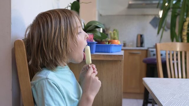 Young boy sitting at a kitchen table holding a vanilla ice cream bar, enjoying a frozen treat at home with potted plants in the background