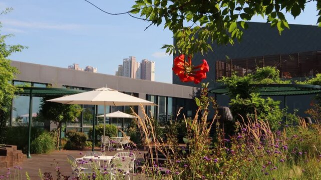 There are parasols and chairs in the urban garden created on the rooftop of a building in the city center.도심의 건물 옥상에 만든 도시정원에 파라솔과 의자가 있습니다.