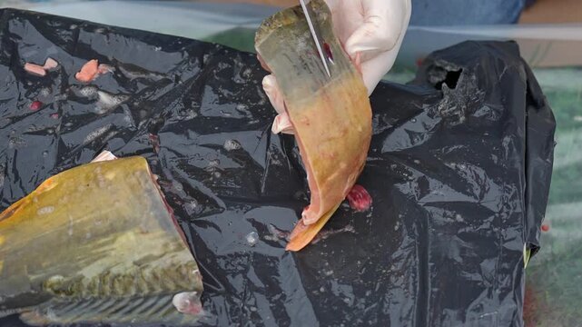 Fish Preparation Expert Techniques for Efficiently Cleaning and Filleting Different Species Learn expert techniques for cleaning and filleting fish with this comprehensive guide you can follow