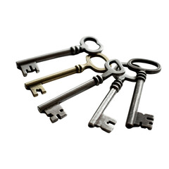 Antique Brass and Iron Keys Collection | Vintage Key Still Life | Historical Keys on White Background