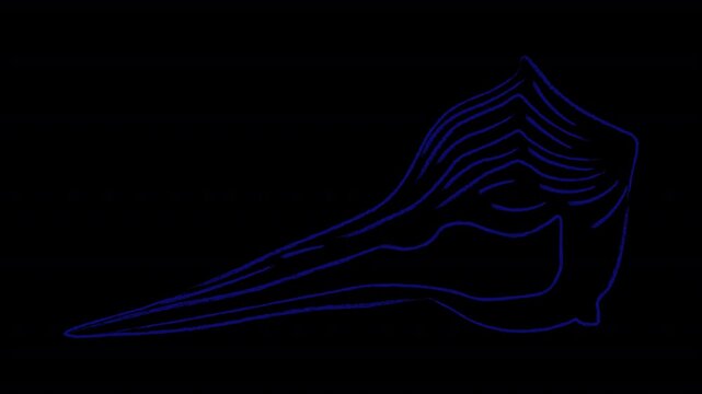 Animated coastal shell in hand drawn style with dry pastel texture. Alpha channel