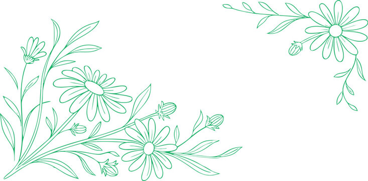 Botanical floral corner frame with daisy flowers and leaves in green outline. Elegant decorative sketch design for invitation, greeting, or certificate. Simple natural template illustration.