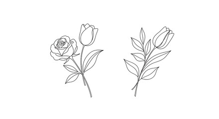 Line art illustration featuring a rose and tulip bouquet, and a separate tulip bouquet, both with leaves, on a white background.