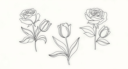Three floral line art drawings: two roses and two tulips with leaves, arranged on a white background.