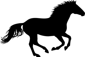 One large black male horse