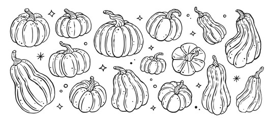 Hand drawn doodle cute pumpkin vector collection set. Fall autumn squash harvest silhouette.	
