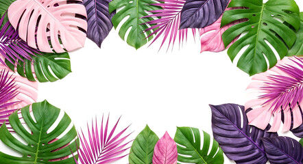 Fototapeta premium Summer Tropical leaf frame on white background with copy space.