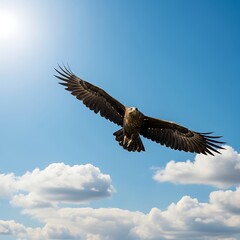 Fototapeta premium Eagle soaring high in a bright blue sky with clouds.