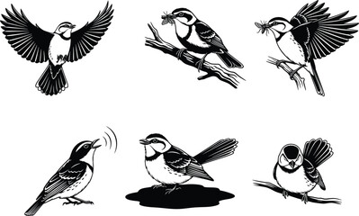 Vector illustration collection of small birds in flight and perched with insects, singing and resting, detailed nature wildlife silhouette design.