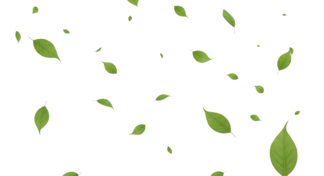 Scattered green leaves isolated on transparent background, creating a natural pattern