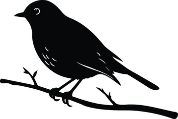 European Robin Perched on a Branch in Spring Nature silhouette vector.