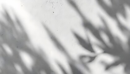 Minimal shadow of leaves on a plain surface creating natural abstract texture and background.