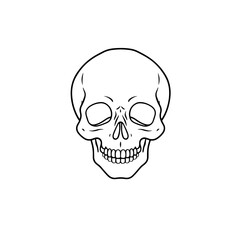 Fototapeta premium Human skull illustration on white background with detailed anatomical structure. Skull drawing is a graphic representation of bone structure, skeletal structure and teeth.