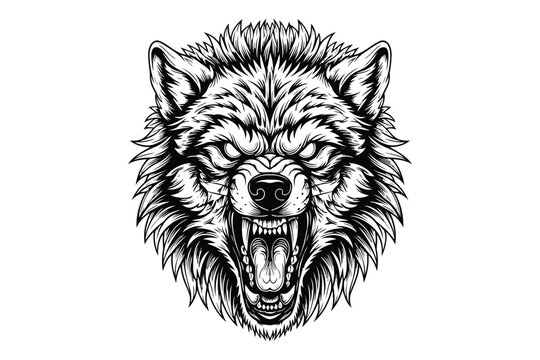 Vector art of an intense monochrome illustration of a wolf head with bared fangs, the detailed linework captures the wild and ferocious nature of the predator