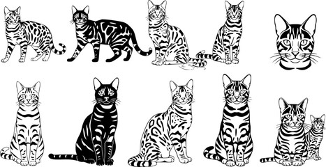 Bengal Cat Vector, Bengal Cat, Bengal Cat Drawing, Bengal Cat Illustration, Bengal Cat Clipart, Bengal Cat Silhouette