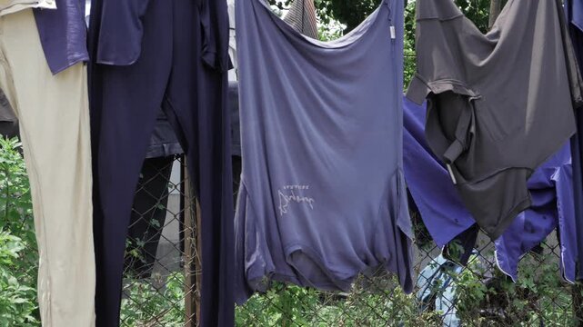 Clothesline Aerial - Elevated Laundry in a Jungle Oasis